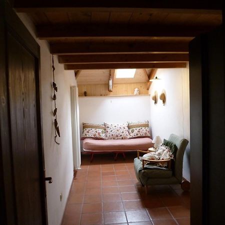 In Plait Bed and Breakfast Cercivento Buitenkant foto