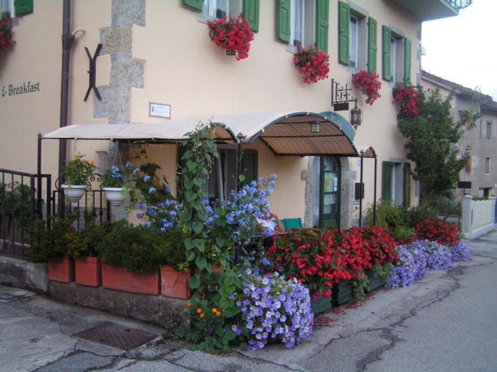 In Plait Bed and Breakfast Cercivento Buitenkant foto