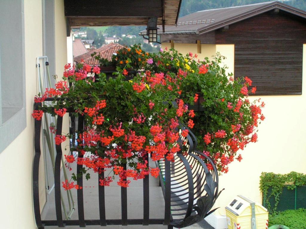 In Plait Bed and Breakfast Cercivento Buitenkant foto